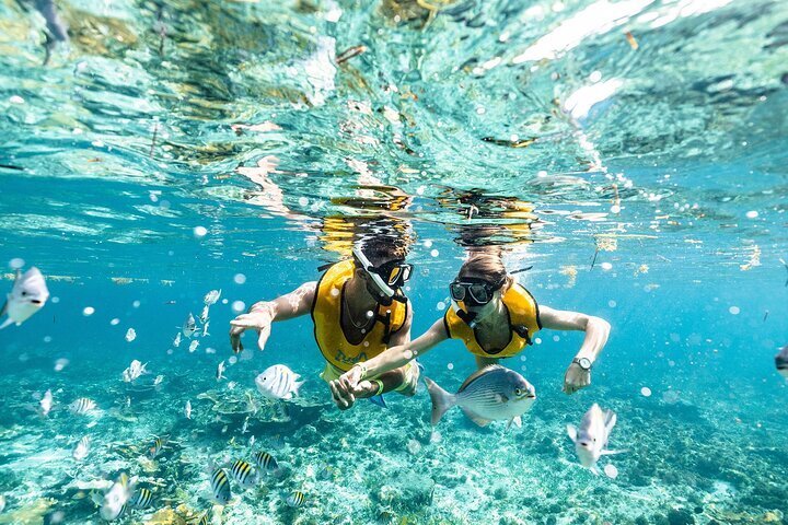 reef and shipwreck snorkeling tour in cancun