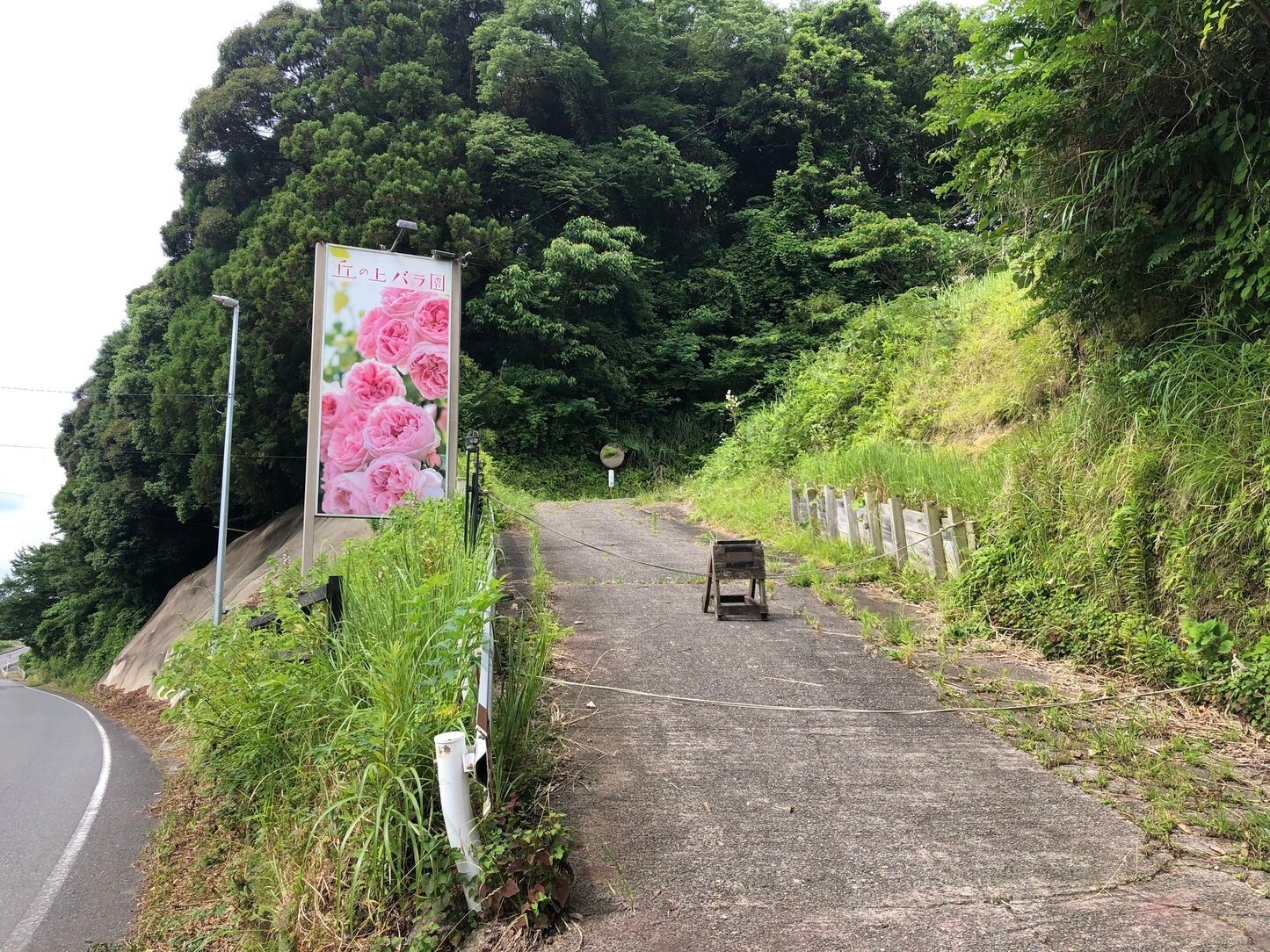 丘 安い の 上 バラ 園 ペット