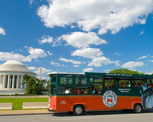 best bus tours washington dc reviews