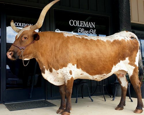 Coleman golf cart - Texas Hunting Forum