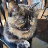 Molly L