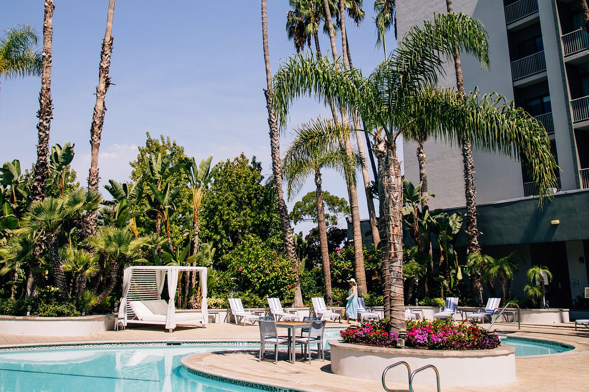 Pet-Friendly Hotels in Newport Beach