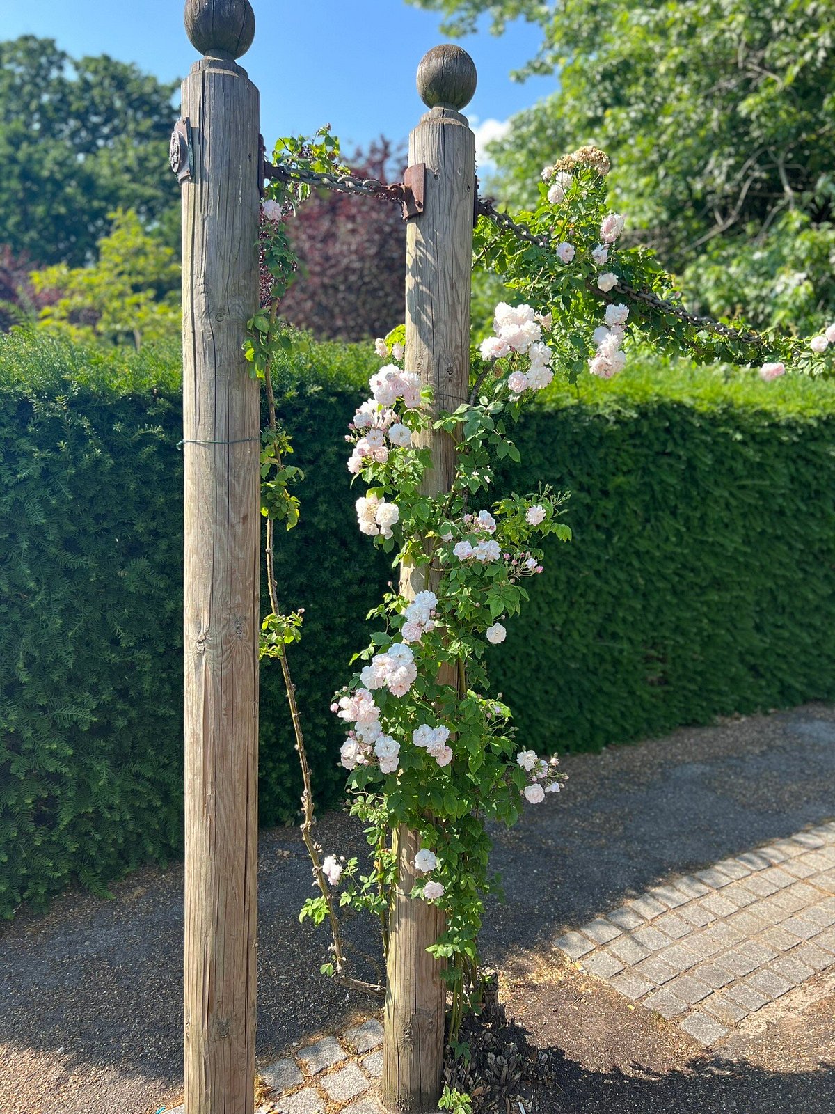 Atracciones en Jardines del Pedregal - Cosas que hacer en Jardines