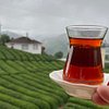 Leyla A