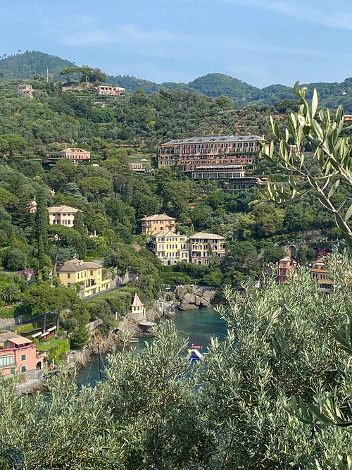 HOTEL PICCOLO PORTOFINO - Updated 2023 Prices & Reviews (Italy)