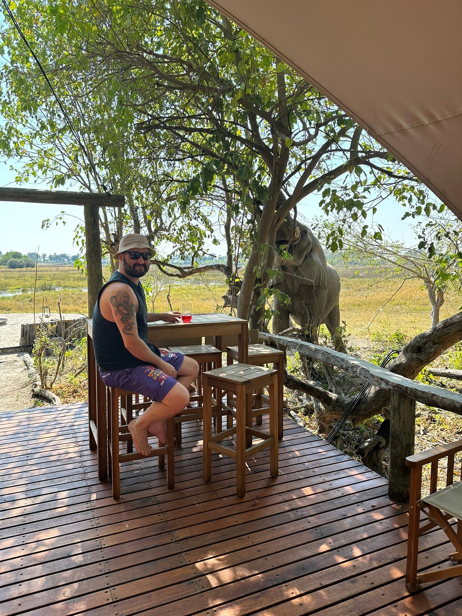 AMBER RIVER CAMP - OKAVANGO HIDDEN GEMS (Maun, Botswana) - Tarifs 2024