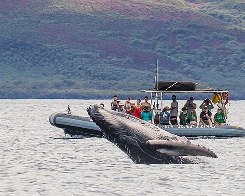 THE 10 BEST Outdoor Activities in Maui (Updated 2024) - Tripadvisor