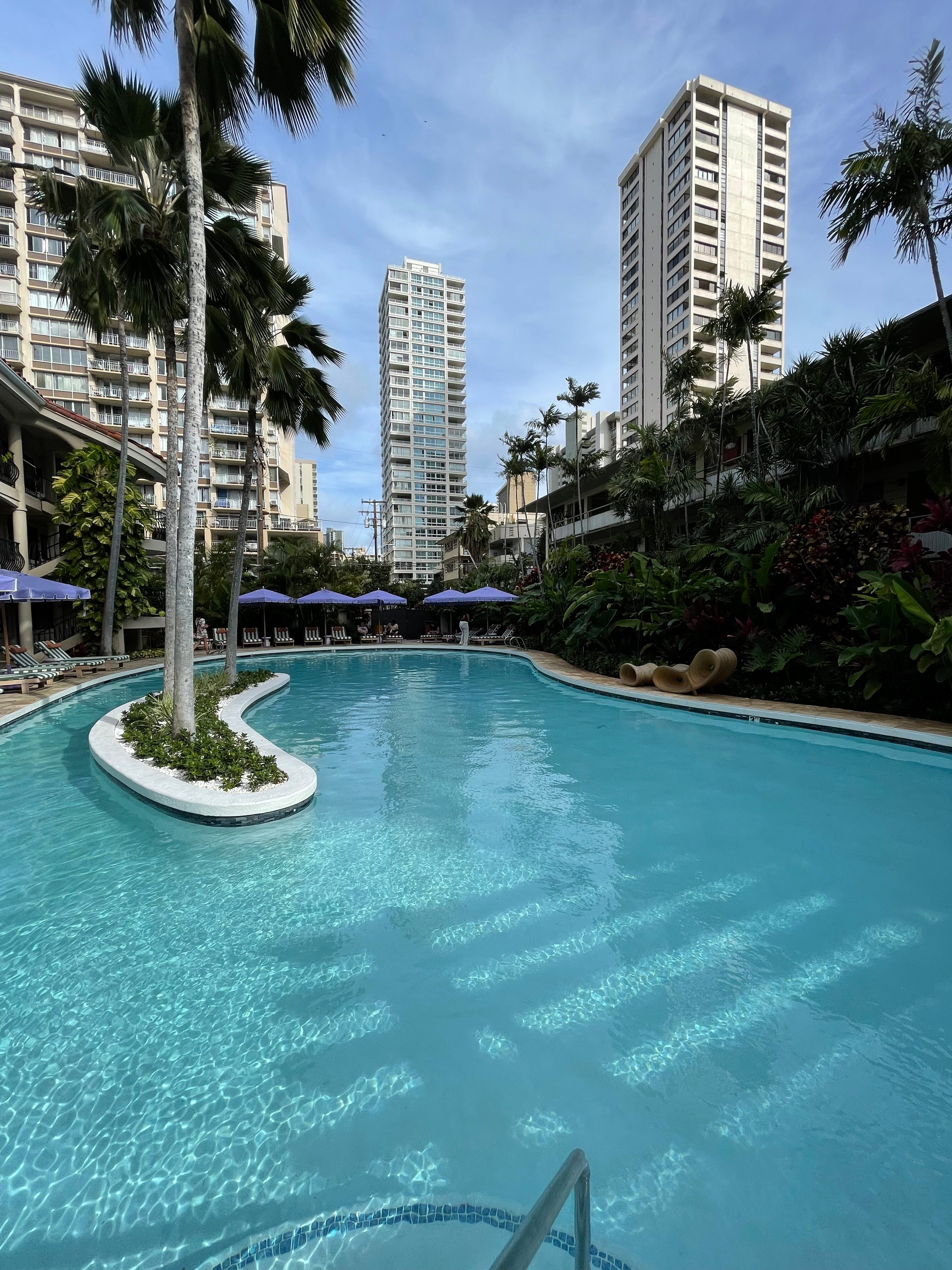 Wayfinder Waikiki Pool Pictures Reviews Tripadvisor   Caption 