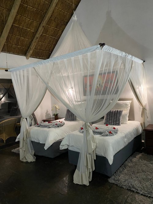 SEBATANA LION LODGE - Updated 2023 Prices & Reviews (Vaalwater ...