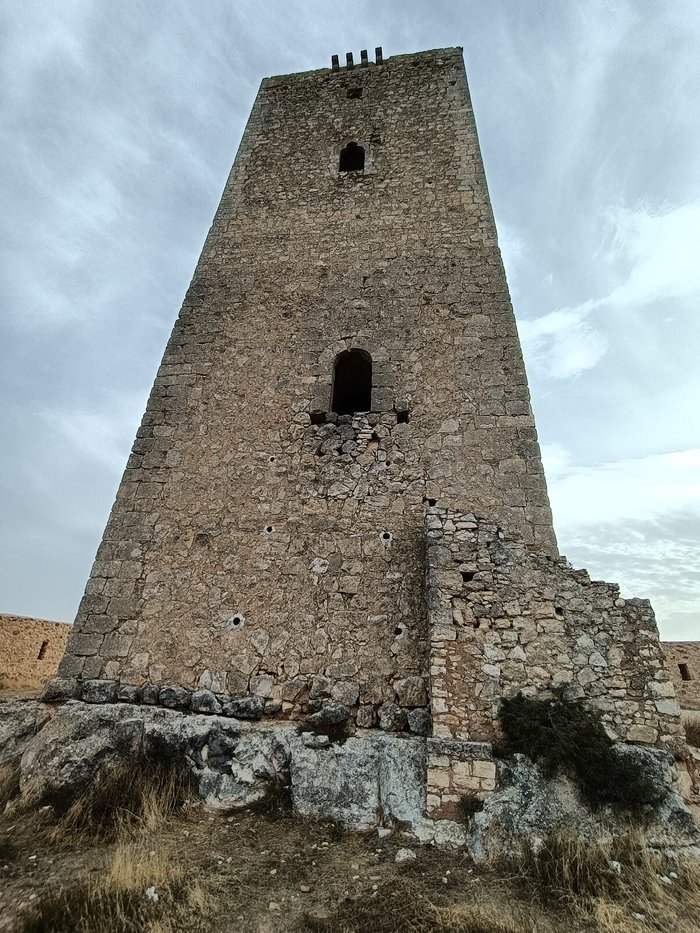 Imagen 5 de Torre de Armas o del Campo