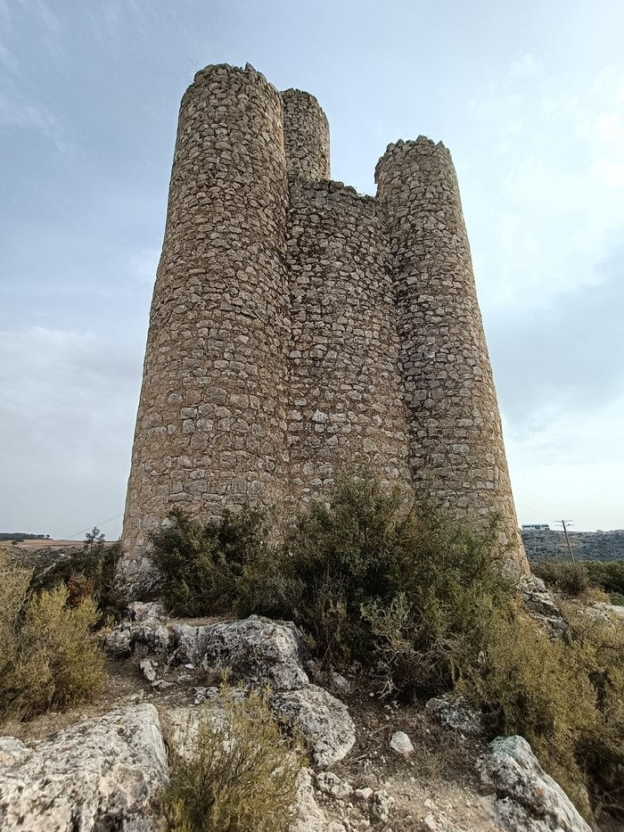 Imagen 7 de Torre de los Alarconcillos