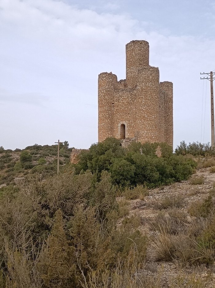 Imagen 4 de Torre de los Alarconcillos