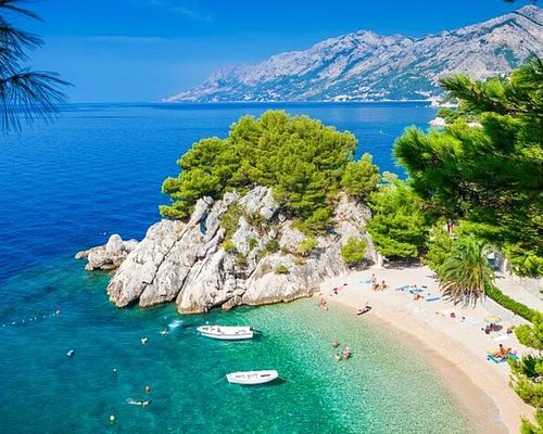 delfin tours makarska