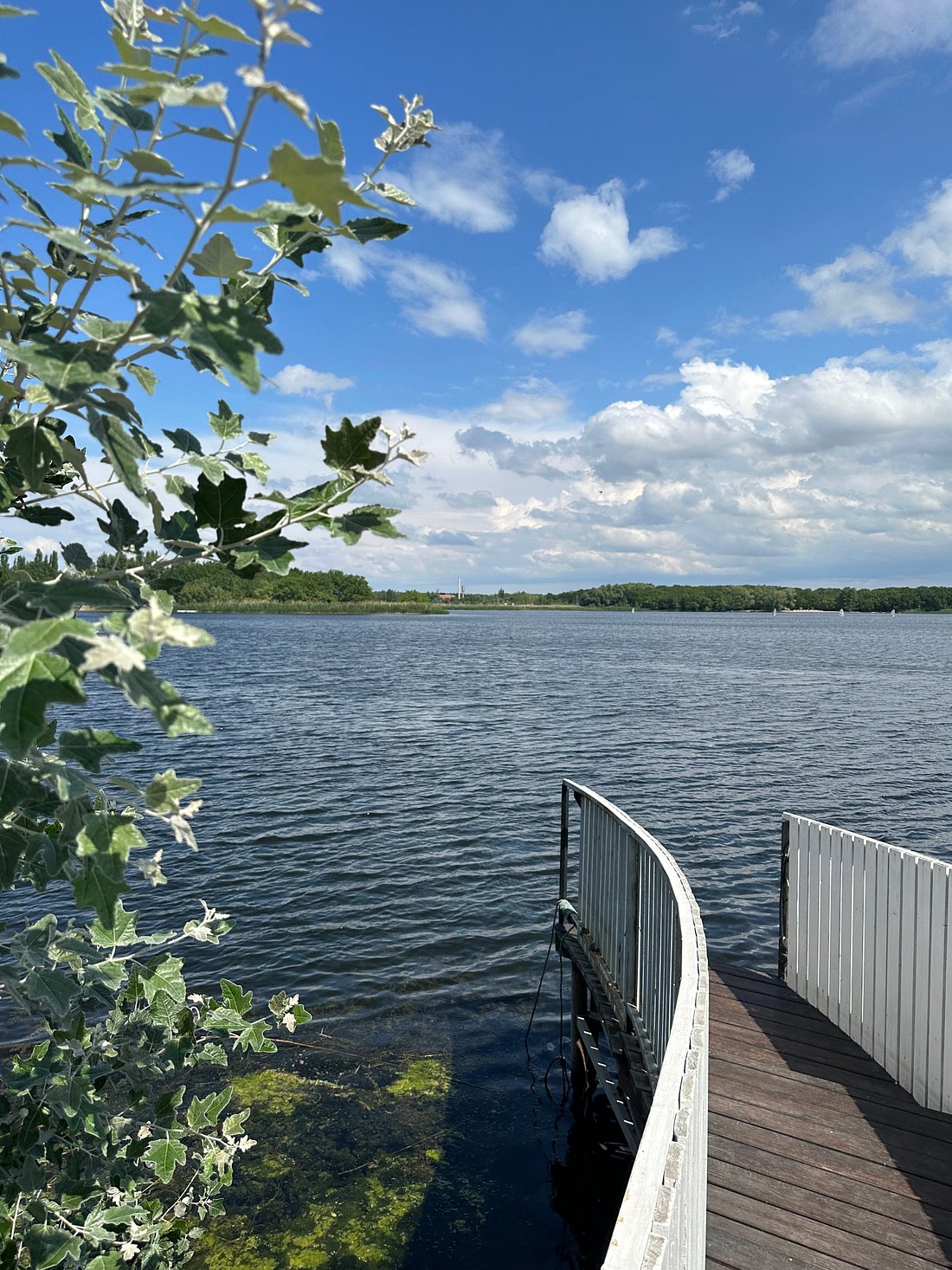 ЗАГОРОДНАЯ БАЗА ОТДЫХА 