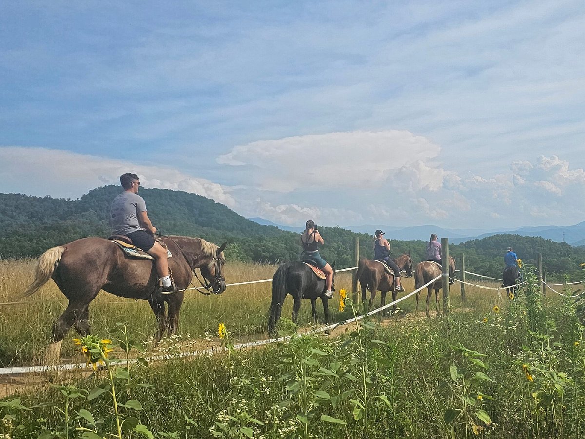 zipline tours gatlinburg