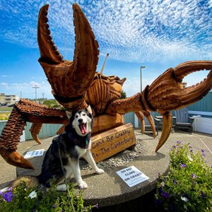Be sure to tag yourself or your pet #canterburycrab
