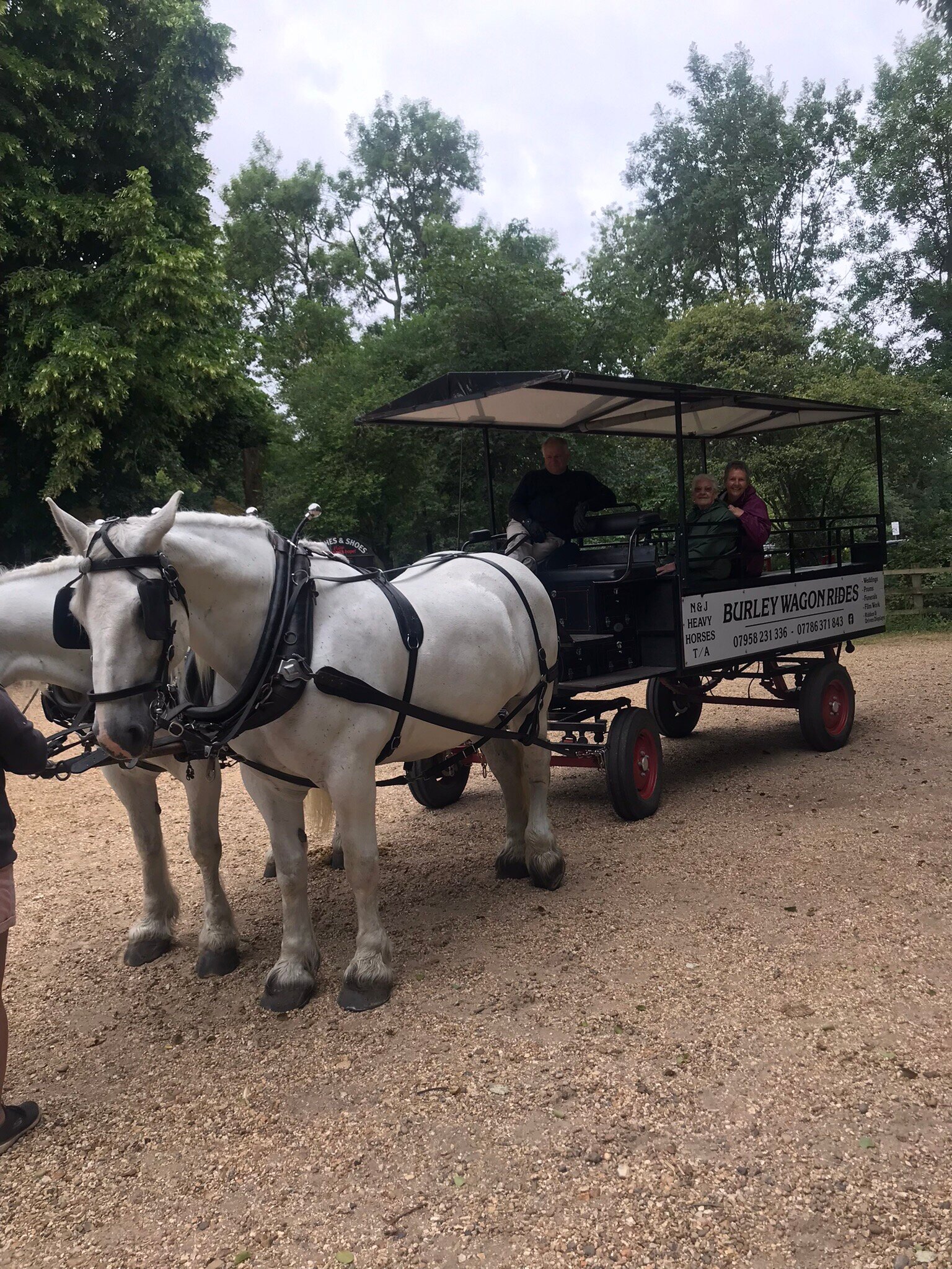 Burley wagon sale