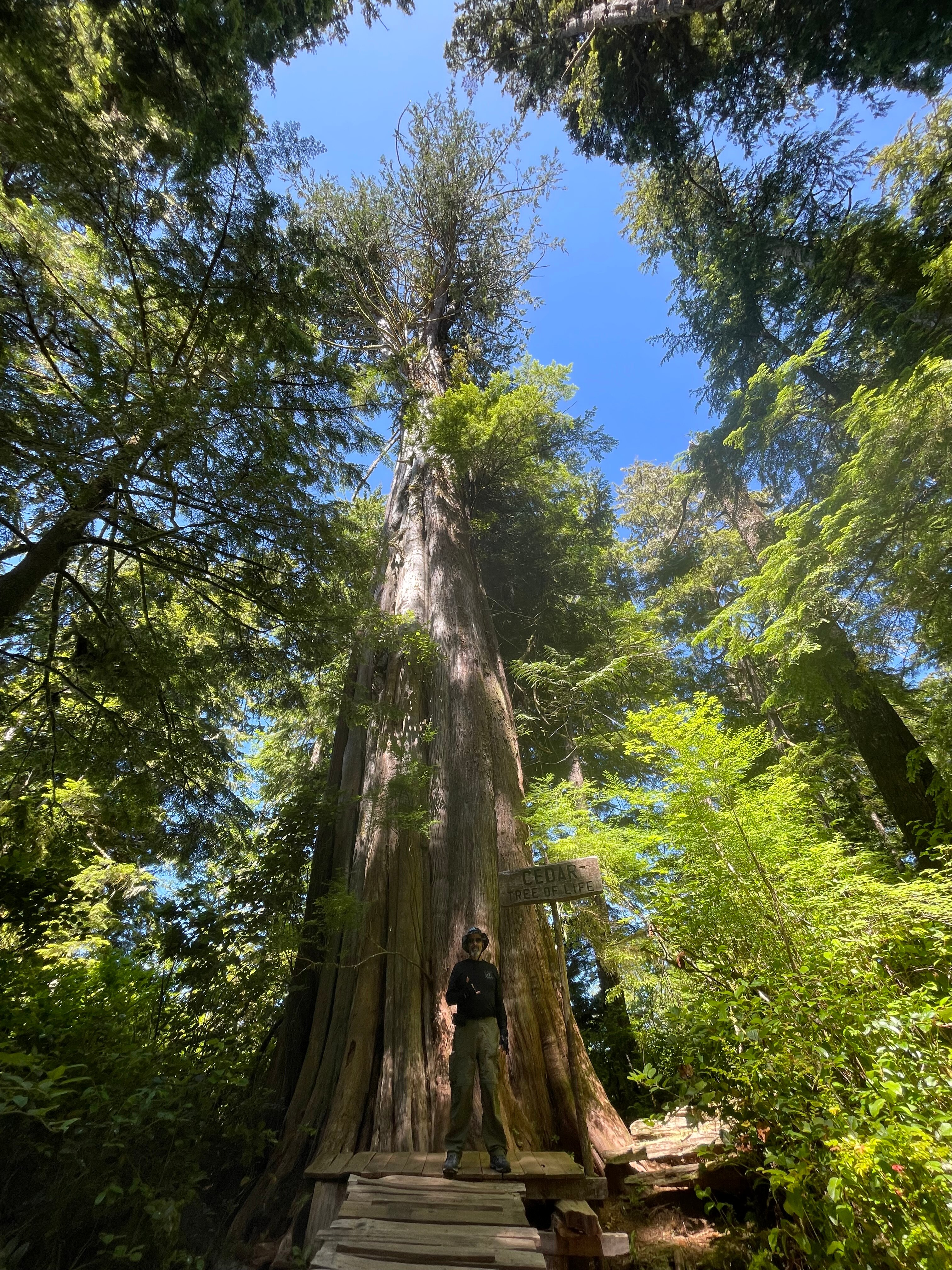 Paddle West Kayaking (Tofino, Canada) - anmeldelser