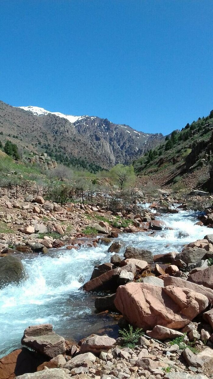 ДОМ ОТДЫХА EAGLE ROCK (Чинар) - отзывы и фото - Tripadvisor