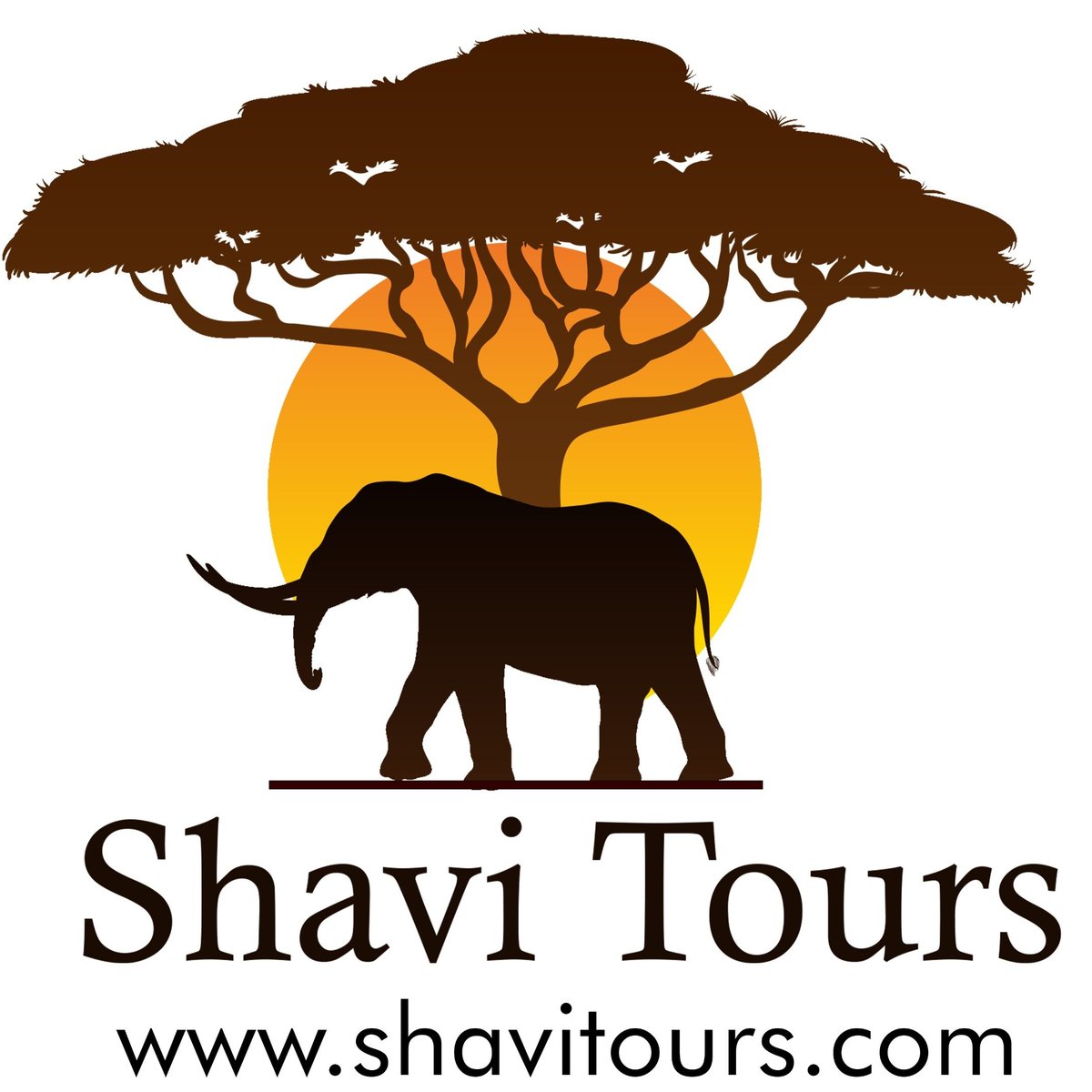 Shavi Tours and Safaris - All You Need to Know BEFORE You Go (2024)