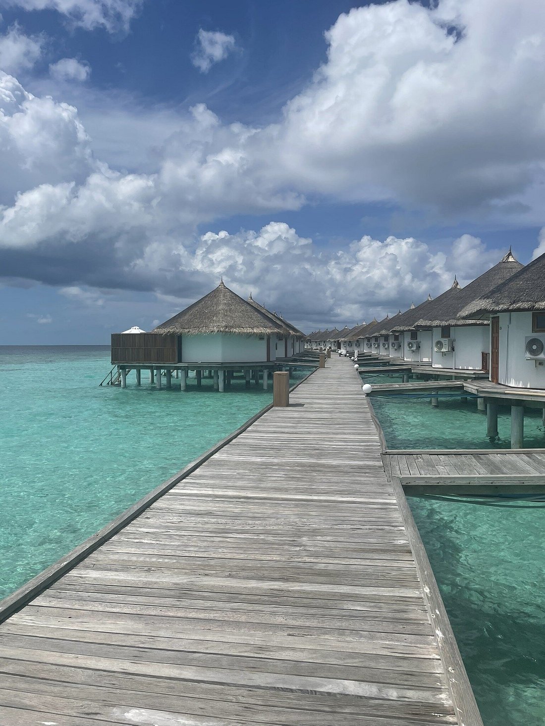 safari resort maldives