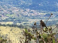 Tripadvisor  Aventura de dia inteiro com 4x4 off-road saindo de São Paulo,  Brasil: experiência oferecida por Atibaia 4x4