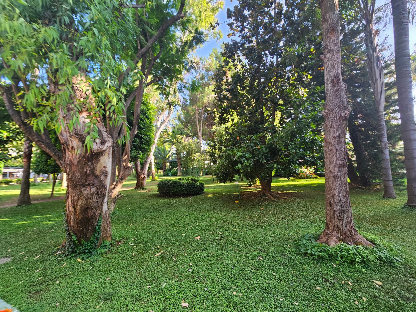 Botanik Platinum Hotel Kids Club: Pictures & Reviews - Tripadvisor