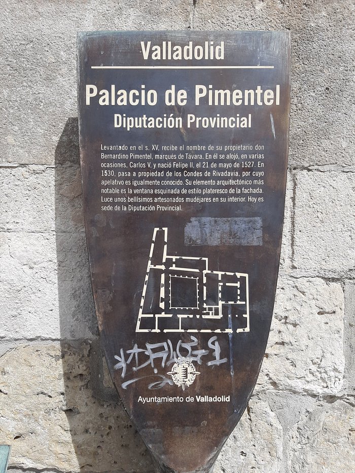 Imagen 2 de Palacio de Pimentel