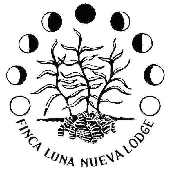 Logo Soy Luna - Google Drive  Soy luna logo, Soy luna, Luna