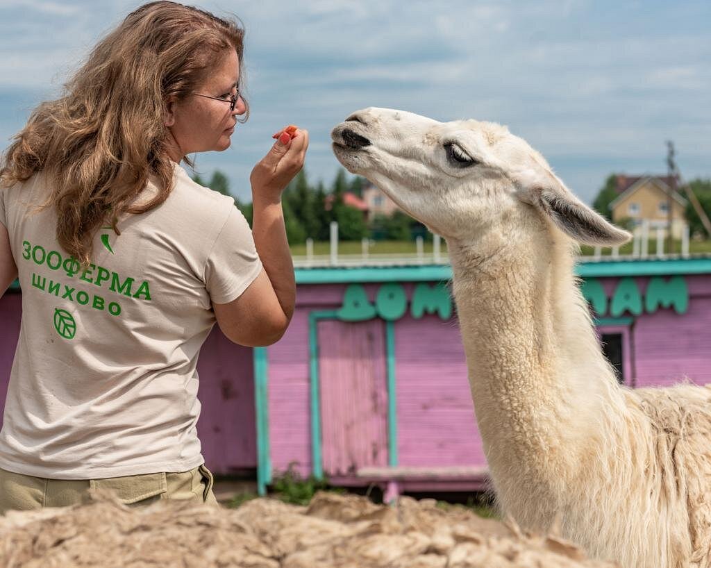 Zoo Farm Shihovo - O que saber antes de ir (ATUALIZADO 2024)