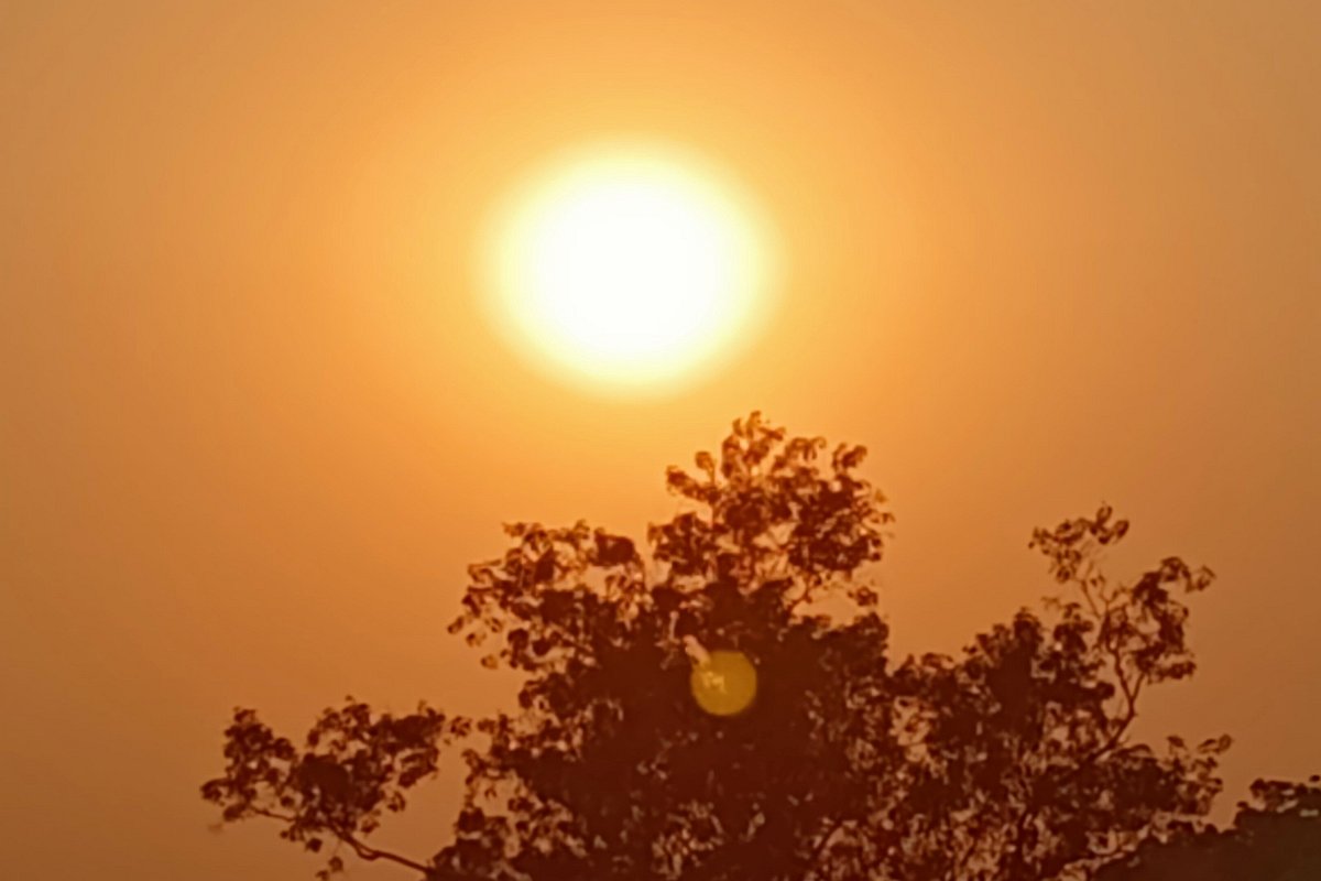 Trikhal Tourism Silchar Lohnt Es Sich Aktuell F r 2023 Mit Fotos trikhal-tourism-silchar-lohnt-es-sich-aktuell-f-r-2023-mit-fotos