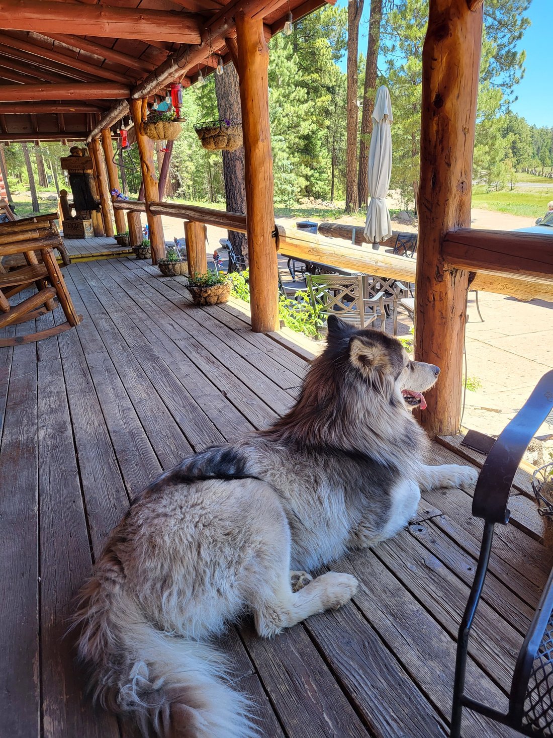 Escape to the Enchanting Hannagan Meadow: Your Arizona Adventure Awaits