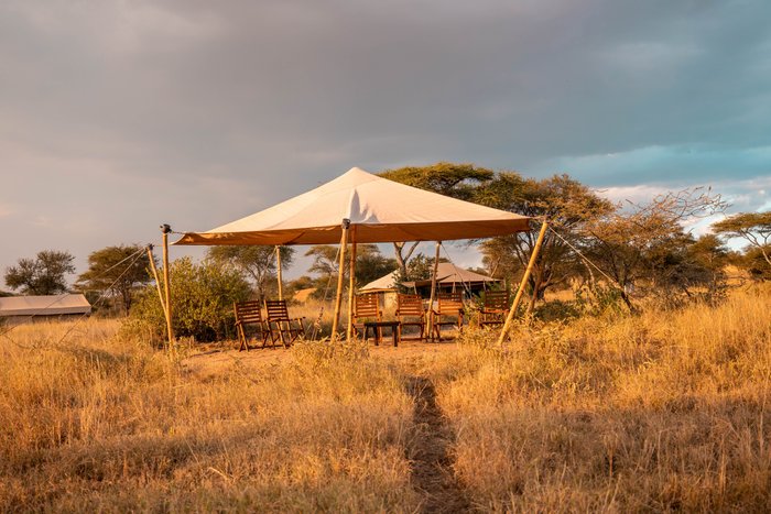 PEMBEZONI CAMP (SEASONAL CAMP) - Campground Reviews (Serengeti National  Park, Tanzania)