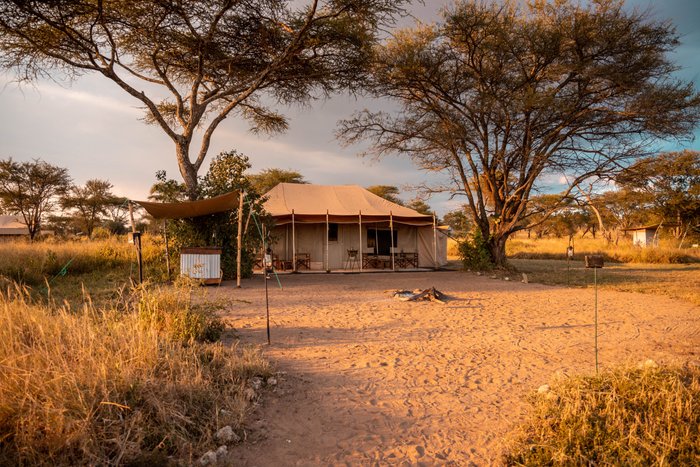 PEMBEZONI CAMP (SEASONAL CAMP) - Campground Reviews (Serengeti National  Park, Tanzania)