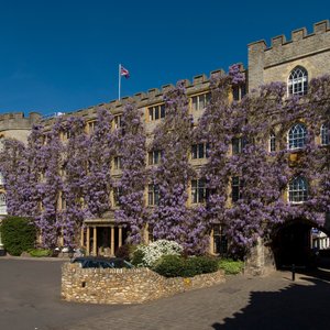 Wisteria Clad Front of Castle at Tautnon