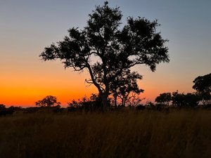 KADIZORA CAMP - Updated 2023 Prices & Lodge Reviews (Botswana/Okavango ...