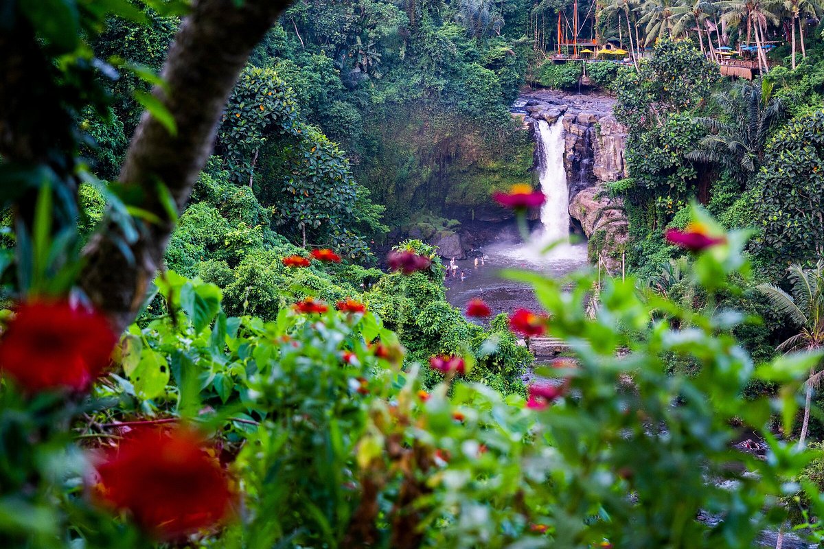jungle resorts tourism