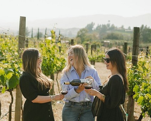 tour ensenada valle de guadalupe