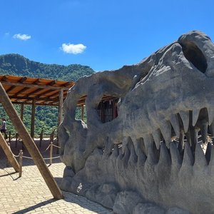 Terra do Dinos Run - Minhas Inscrições