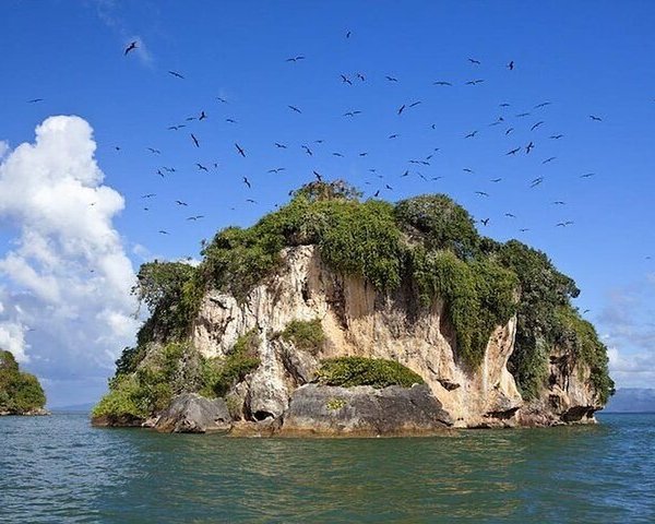 2023 O Que Fazer Em Samana Province Os 10 Melhores Pontos Turísticos Tripadvisor 2004