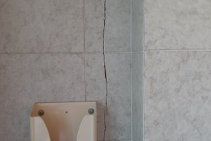 Viaggiatori