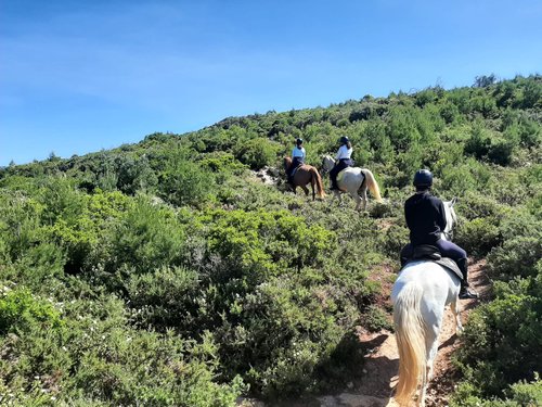 Andar a cavalo para iniciantes: tudo o que você precisa saber