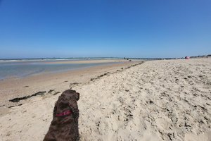 Zwembad en strand