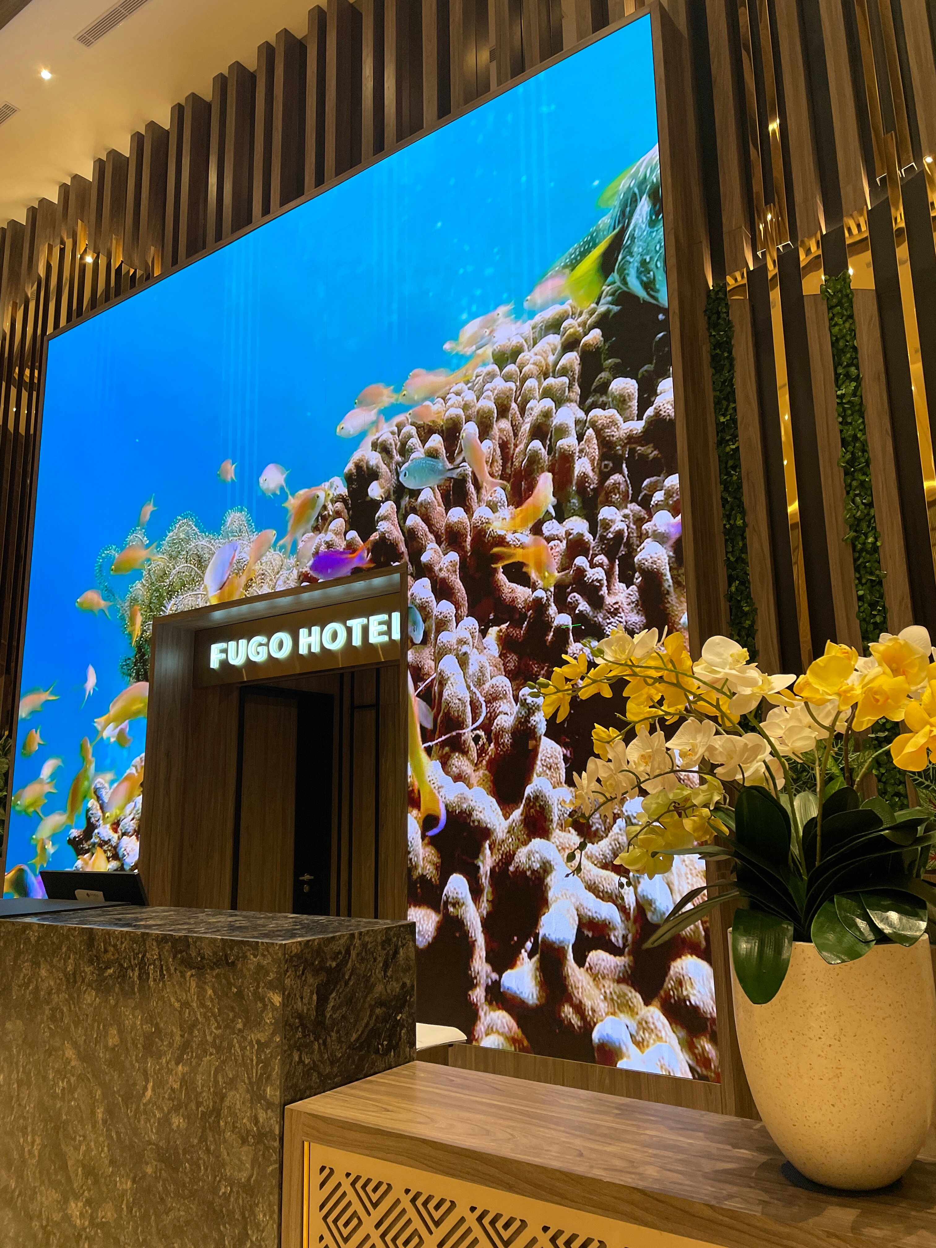 FUGO Hotel Samarinda - UPDATED 2023 Prices, Reviews & Photos (Indonesia ...