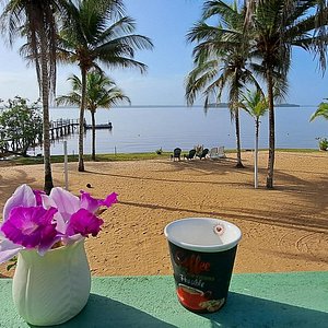 Morning coffee with orchids from the garden looking at the serene Essequibo river