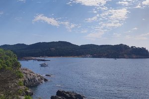 Viaggiatori