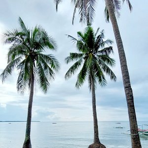 Trishcia's Guest House in San Andres, Quezon Province