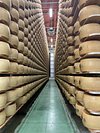 Our family with in the cheese storage room - Picture of Emilia Delizia Food  Tours, Bologna - Tripadvisor