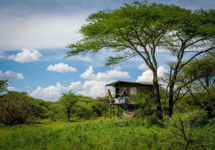 SERENGETI SERENA SAFARI LODGE - Updated 2023 Prices & Reviews (Serengeti  National Park, Tanzania)