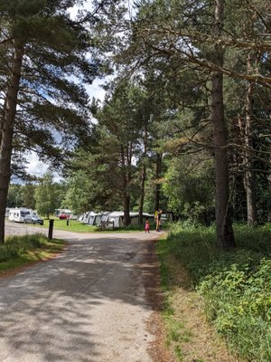 GLENMORE CAMPSITE - Updated 2023 Reviews & Photos (Aviemore)